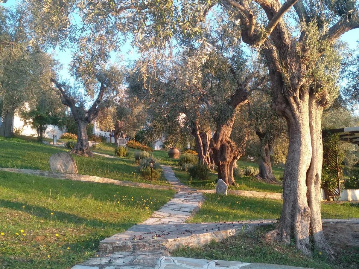 Saint Andrews Bay Villa Milina Dış mekan fotoğraf