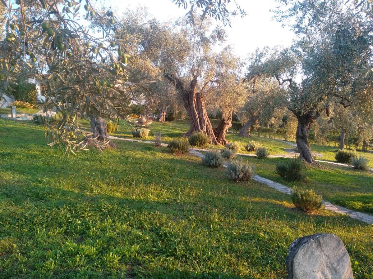 Saint Andrews Bay Villa Milina Dış mekan fotoğraf
