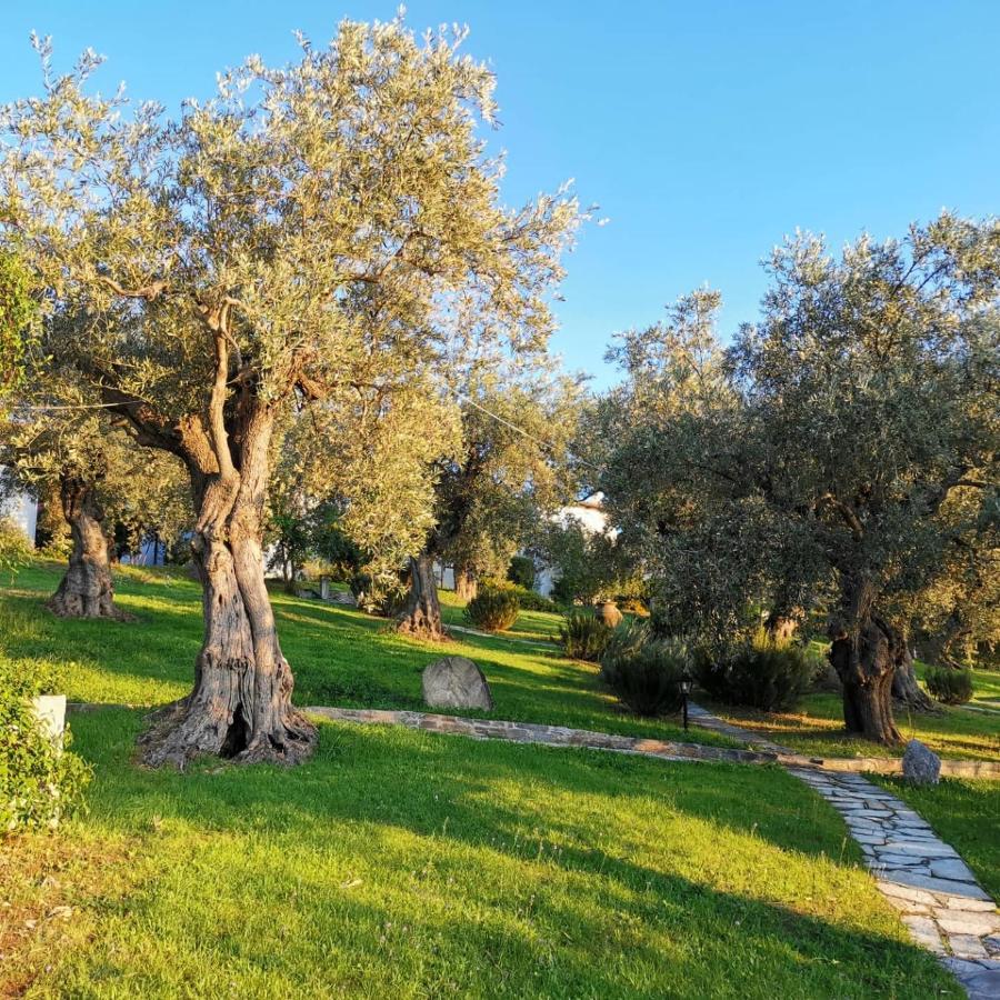 Saint Andrews Bay Villa Milina Dış mekan fotoğraf
