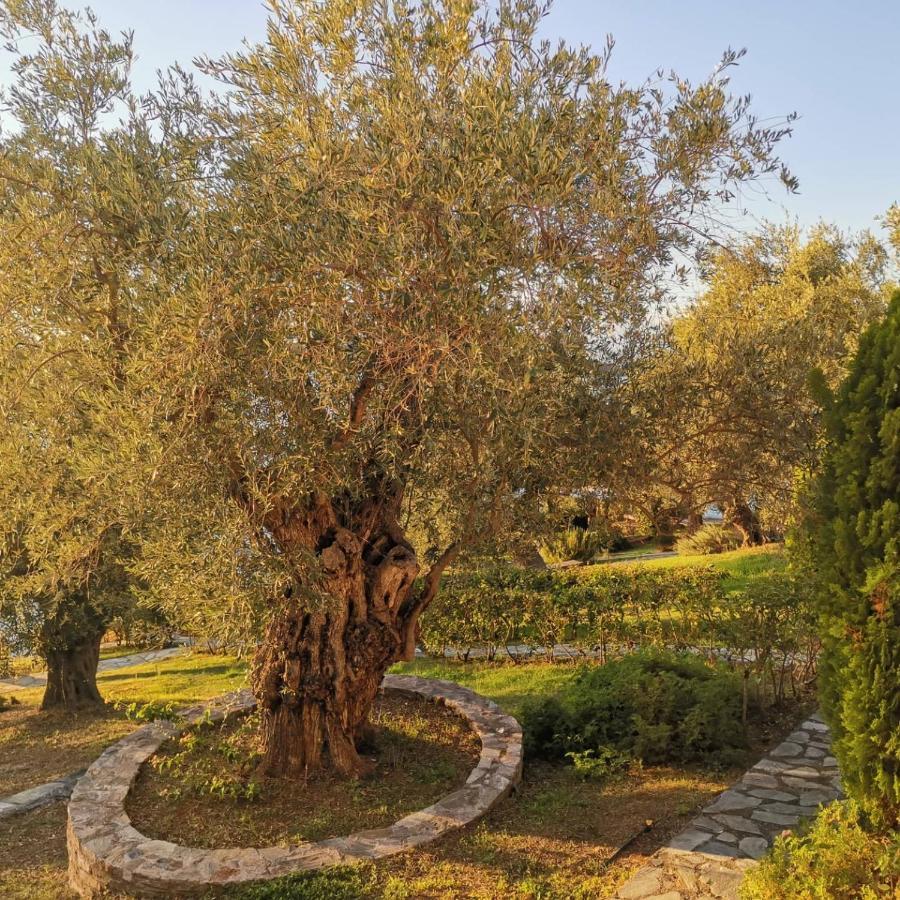 Saint Andrews Bay Villa Milina Dış mekan fotoğraf